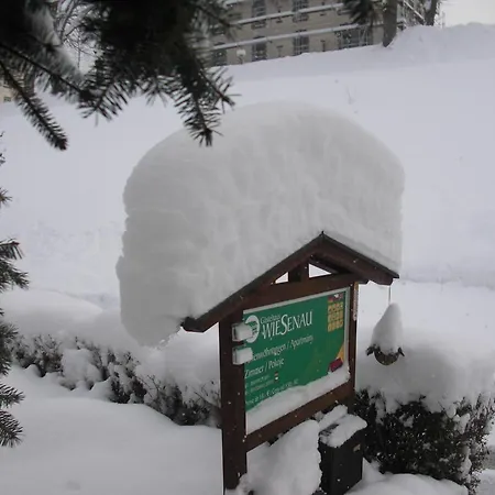 Pensión Wiesenau 3*