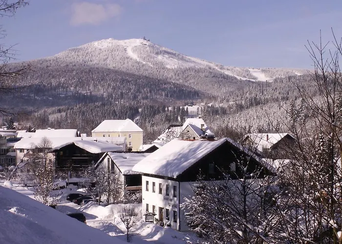 Wiesenau 3* Bayerisch Eisenstein